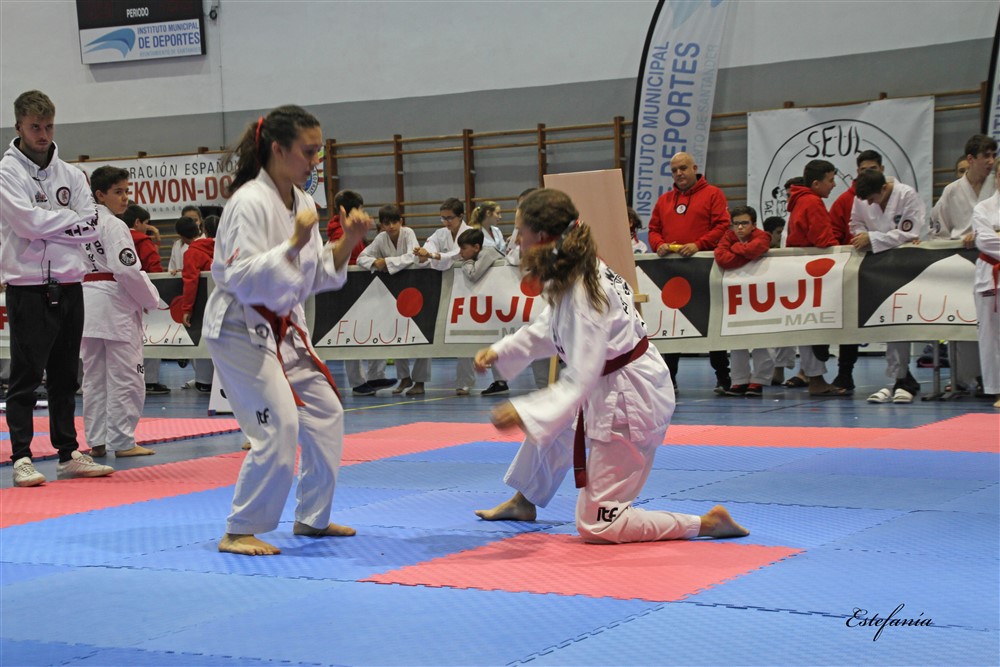 Copa Seul 2018 (376).jpg